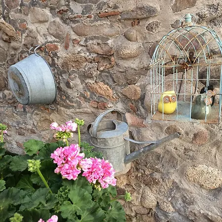 Le Patio * Kaysersberg-Vignoble