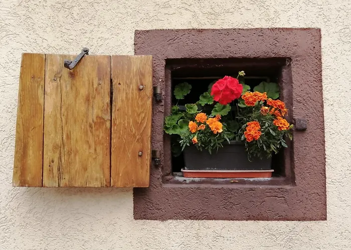 Apartment Le Patio *