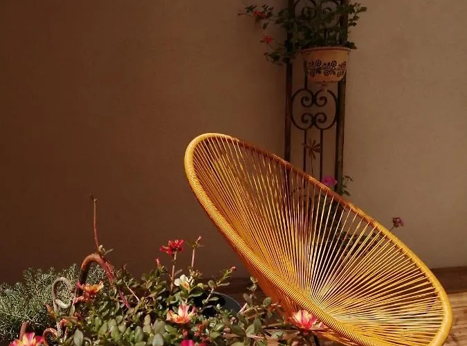 Apartment Le Patio *