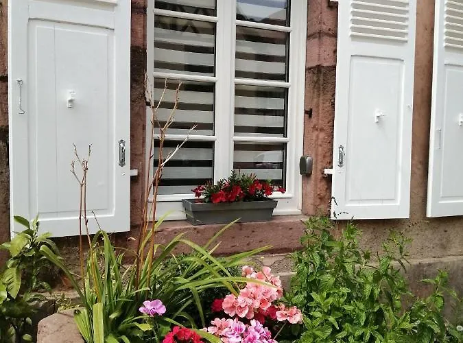 Le Patio *